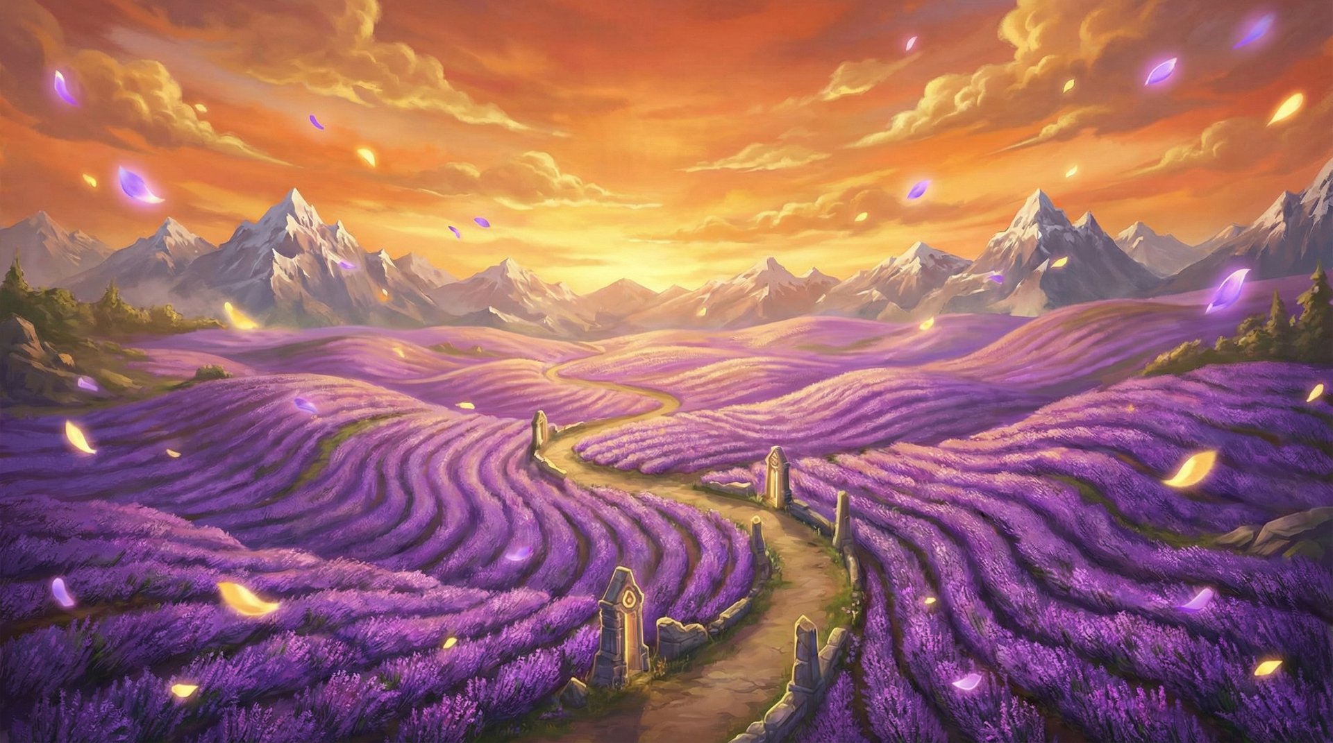 母狗官网薰衣草花海航拍植物视频